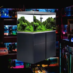 Aquarium